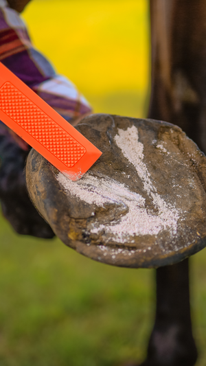 DustWick Hoof Care Powder