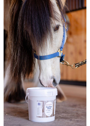 Ranchers Preferred Equine Feather Dust Powder