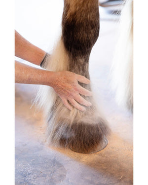 Ranchers Preferred Equine Feather Dust Powder