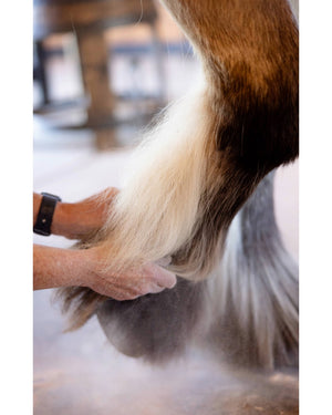 Ranchers Preferred Equine Feather Dust Powder
