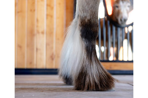 Ranchers Preferred Equine Feather Dust Powder