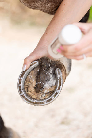 DustWick Hoof Care Powder