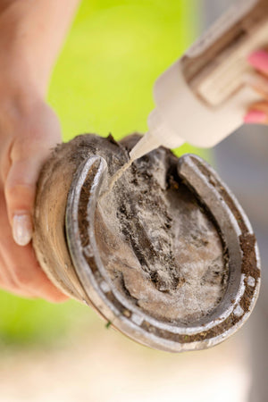 DustWick Hoof Care Powder