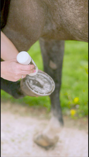 DustWick Hoof Care Powder