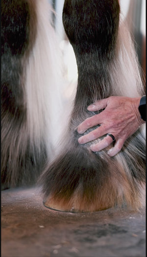 Ranchers Preferred Equine Feather Dust Powder
